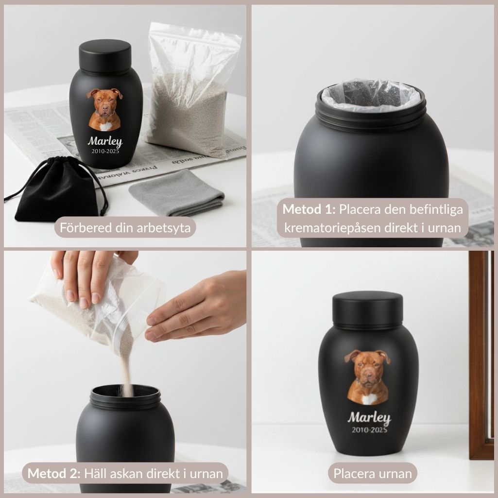 En fyrdelad bildguide som visar två metoder för att föra över en hunds aska till en personlig urna: antingen genom att placera påsen direkt i urnan eller genom att hälla askan i urnan